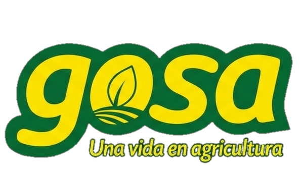 Cliente 10